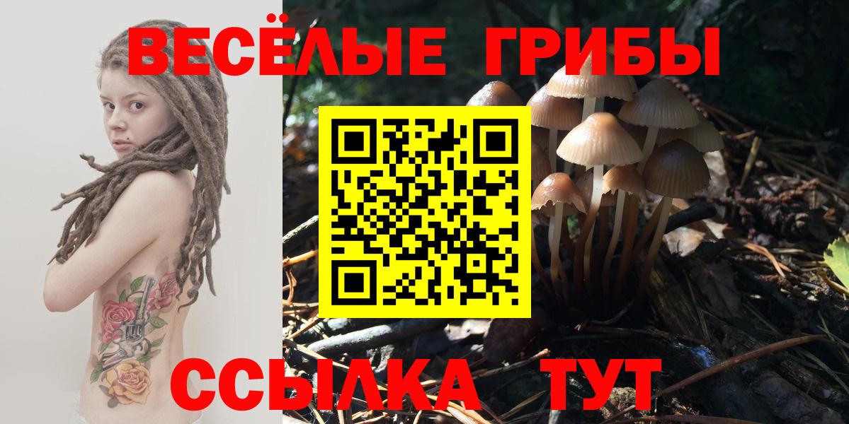 Железногорск  Псилоцибиновые грибы Magic Shrooms  Вход с VPN 
